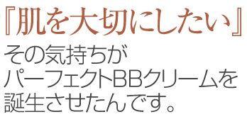 �p�[�t�F�N�g�@BB�N���[���̌��ʁA���\�A���R�~