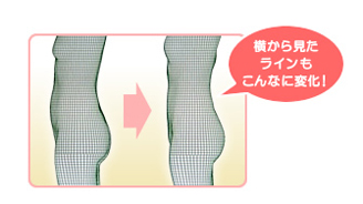 �q���Y�_�C�G�b�g�̌��R�~�P