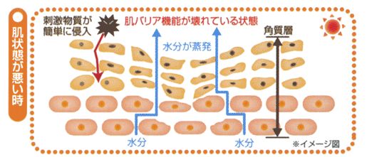 ATP���s�b�h�Q���̌��ʁA���\�A���R�~