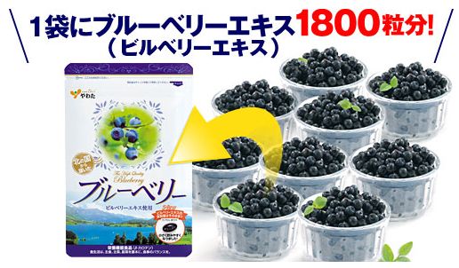 �k�̍�����͂����u���[�x���[�̌��ʁA���R�~