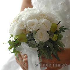 �v���U�[�u�h�t�����[ �u���C�_���u�[�P�̌��R�~