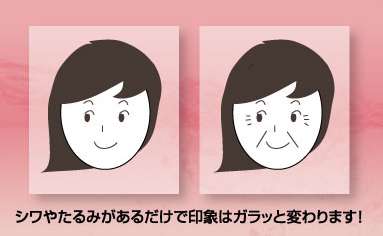 �Z���x�X�g�@���|�R���[�W���̌��ʁA���R�~