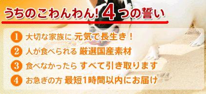 ���Y���Y���h�b�O�t�[�h�����̂������ �̌��ʁA���\�A���R�~