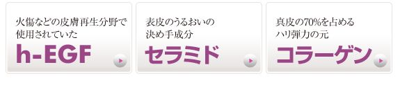 �G�^�[�i���{�[�e