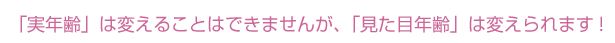 �G�^�[�i���{�[�e