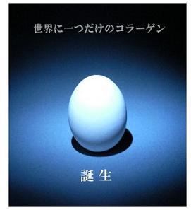 ファイナルコラーゲンの効果、効能、口コミ