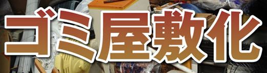 ���锧����v���~�A���_�C�G�b�g���C�����~���N�e�B�[�̌��ʁA���\�A���R�~