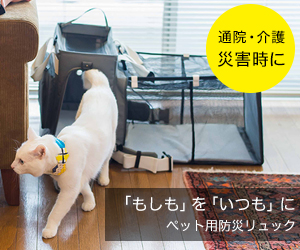 �y�b�g�L�����[ GRAMP�]��