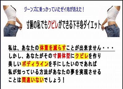 �������g�`�o�o�x�{�f�B�ɑ�ϐg�����Ⴄ���@�̃��V�s�̌��R�~����