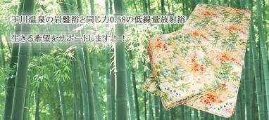 �h�N�^�[�ʐ��՗��}�b�g�F�z���~�V�X�̌��ʁA���\�A���R�~