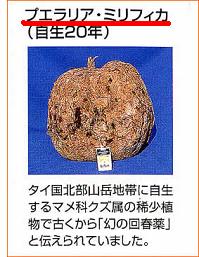 ���f�B�[�Y�v�G�����A99���̌��ʁA���\�A���R�~