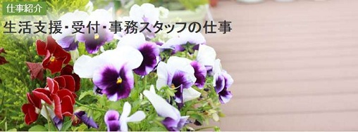 �x�l�b�Z�X�^�C���P�A���̎d���̌��ʁA���R�~