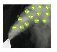 �R�C���t���G���U�X�v���[�̌��ʁA���\�A���R�~