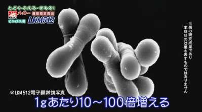 �r�t�B�Y�X��LKM512