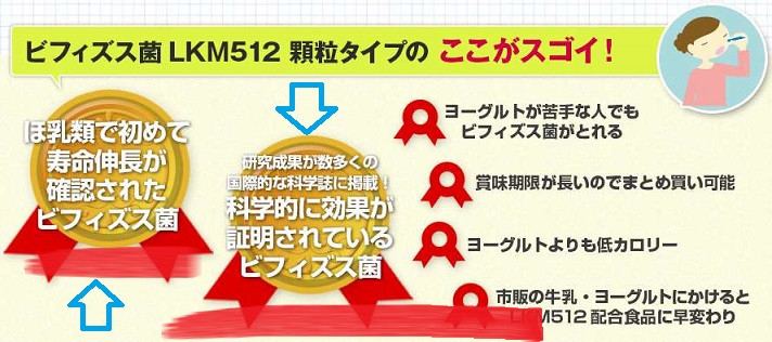 �r�t�B�Y�X��LKM512