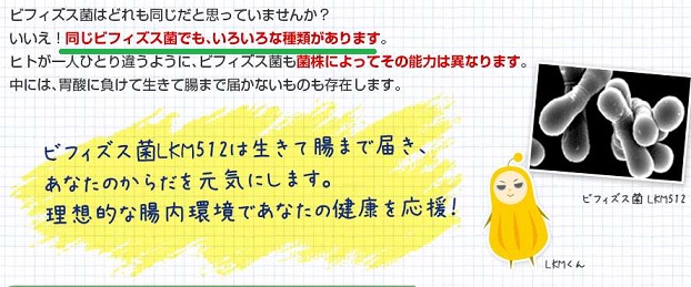 �r�t�B�Y�X��LKM512