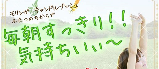 �������K�[�� 