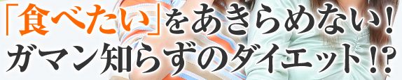 マイクロスピードノンスポーツダイエットの効果、効能、口コミ