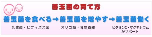 �P�ʋہi���A���t�@�j���x�[�^�̌��ʌ��R�~