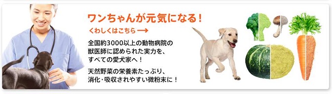 �x�W�^�u���T�|�[�g