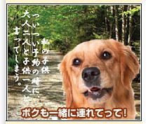 �|�C���g�o�P�[�V��������!���R�~