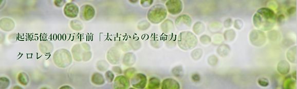 �T���N�������`�̌��ʁA���\�A���R�~