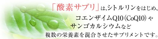 �_�f�T�v���i�V�g�������j�̌��ʁA���\�A���R�~
