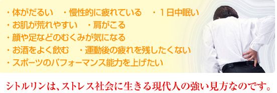 �_�f�T�v���i�V�g�������j�̌��ʁA���\�A���R�~