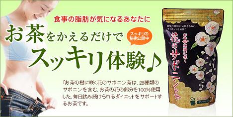 サポニン茶の効果、効能、口コミ
