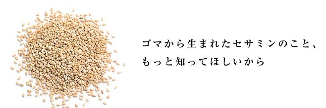 �T���g���[�Z�T�~���d�̌��ʁA���\�A���R�~