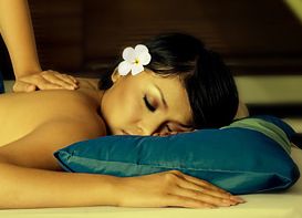 �A���}�L�����h���u�c�d�h�b�`�i�f�C�J�j�̌��ʁA���\�A���R�~