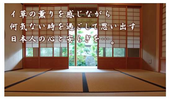�O����i�����݁j�̌��ʁA���\�A���R�~