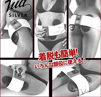EMS �g�D�A�V���o�[�_�C�G�b�g�}�V��
