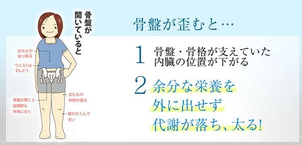 ���Պ����ڃ_�C�G�b�g�̌��ʁA���R�~