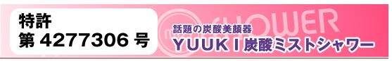 YUUKI�Y�_�~�X�g�V�����[�̌��ʁA���\�A���R�~